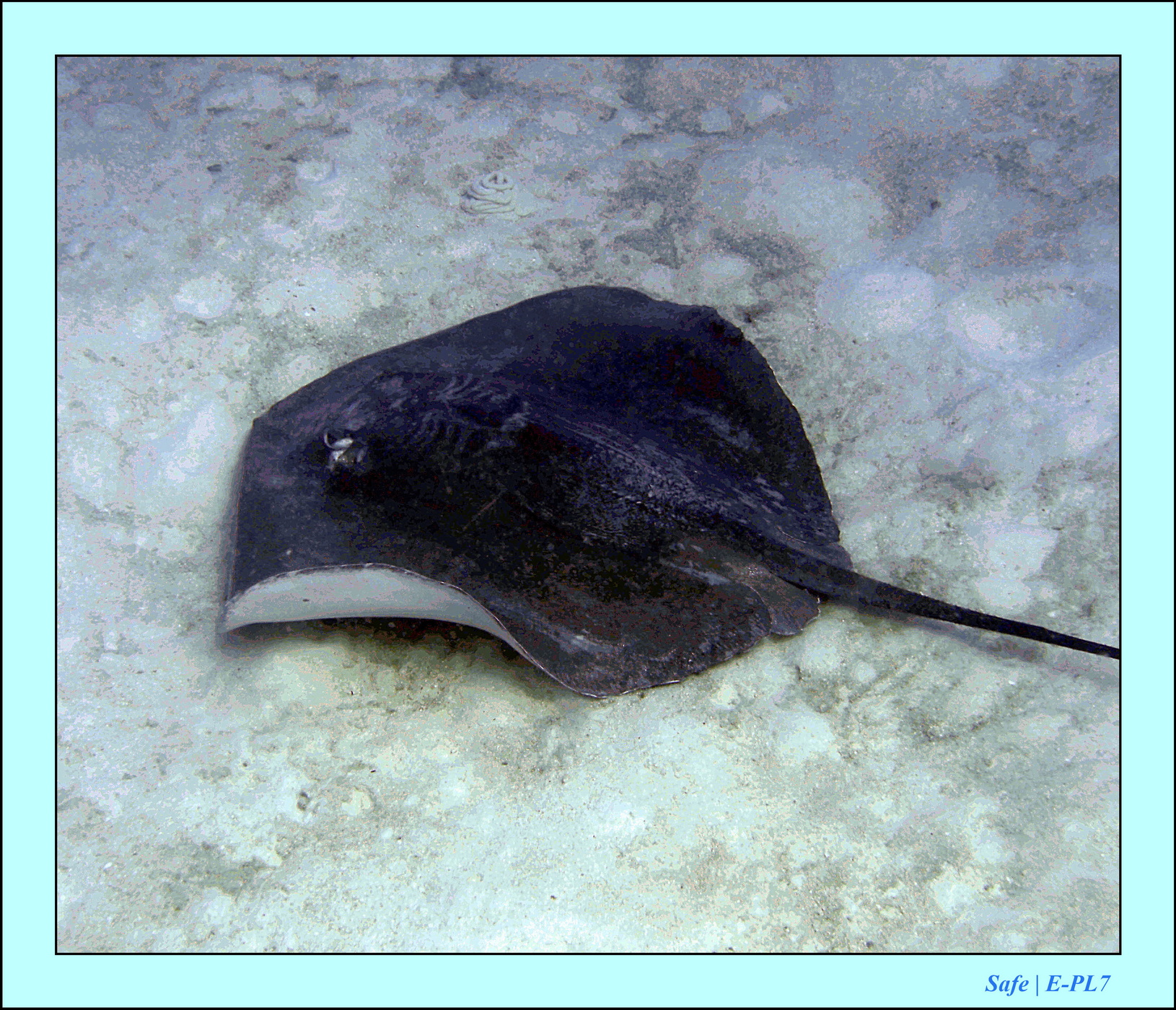 2023 - 07 - Sandies Bathala - 137